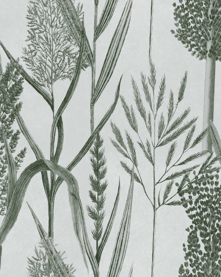 Riverside Flora Offwhite Wallpaper by Mind the Gap Designer Wallpaper THE WETLANDS Non-woven Made in Europe Paste the wall 1 roll x 20.5x10.9 yards - Swanky Fabrics -