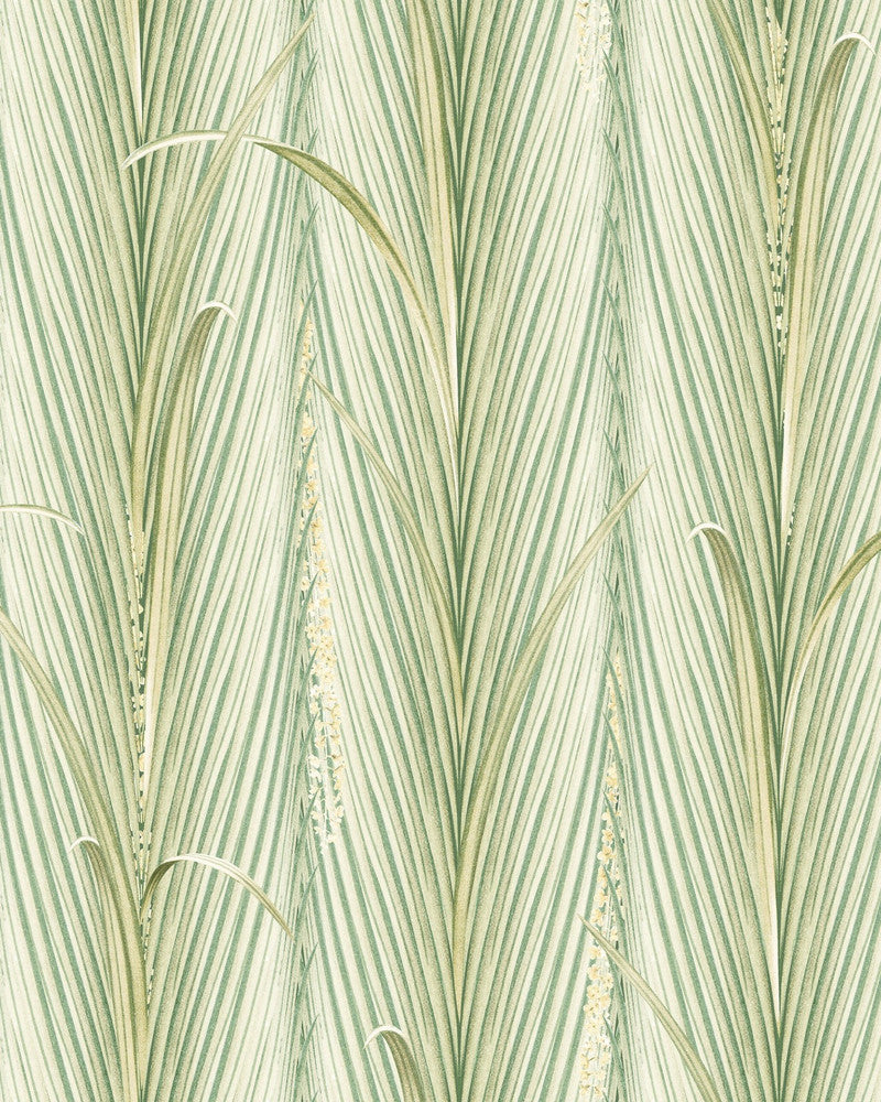 DANUBE FOLIAGE Spring Wallpaper (WP30215) by Mind The Gap | WP30215 | THE WETLANDS | 1 roll x 20.5x393.7 in | 0.52m / 20.5in | 10m / 393.7in | 4.68mp | 52cm / 20.5in | Cream, Green | Non-woven | Paste the wall | 1-roll in a box | Fabric Carolina | https://www.fabriccarolina.com/