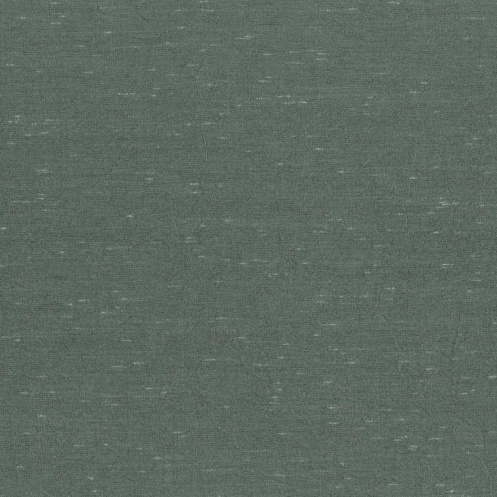 Wrinkle In Time Aspen by Kasmir Fabric 5047 INDIA 25,000 Wyzenbeek Double Rubs H: N/A, V:N/A 54 - Fabric Carolina - Kasmir