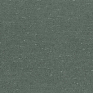 Wrinkle In Time Aspen by Kasmir Fabric