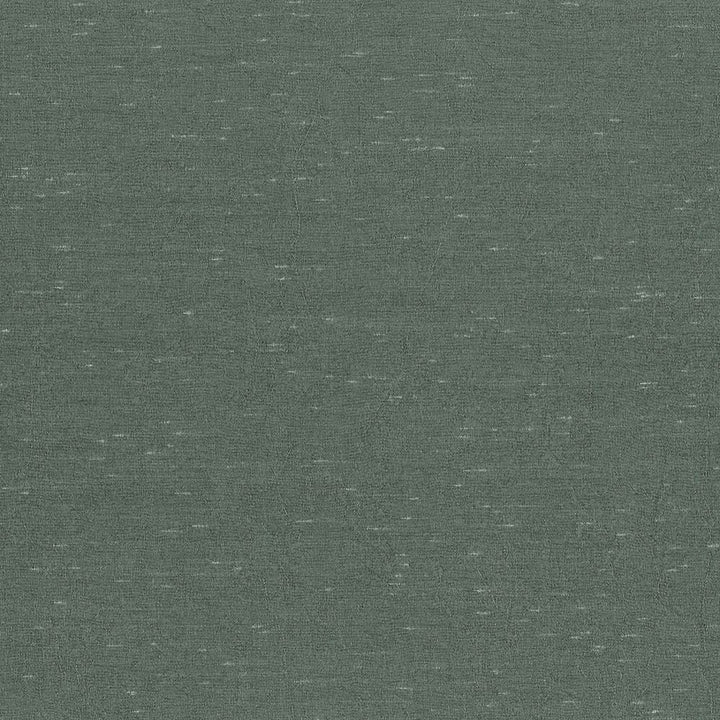 Wrinkle In Time Aspen by Kasmir Fabric 5047 100% Polyester
 INDIA 25,000 Wyzenbeek Double Rubs </p><p>Repeat: Horizontal: N/A and Vertical: N/A 54 - Fabric Carolina -