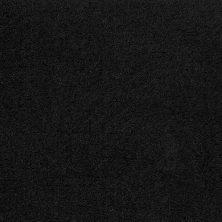 Wrinkle In Time Black by Kasmir Fabric 5047 INDIA 25,000 Wyzenbeek Double Rubs H: N/A, V:N/A 54 - Fabric Carolina - Kasmir