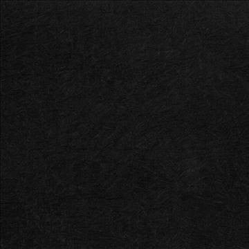 Wrinkle In Time Black by Kasmir Fabric 5047 100% Polyester INDIA 25,000 Wyzenbeek Double Rubs H: N/A, V: N/A 54 - Fabric Carolina - Kasmir
