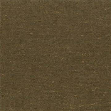 Wrinkle In Time Cedar by Kasmir Fabric 5047 100% Polyester INDIA 25,000 Wyzenbeek Double Rubs H: N/A, V: N/A 54 - Fabric Carolina - Kasmir