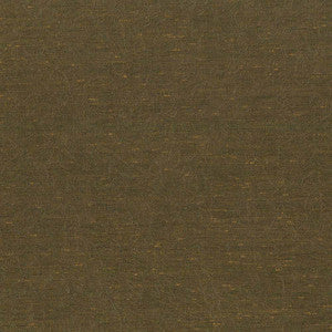 Wrinkle In Time Cedar by Kasmir Fabric