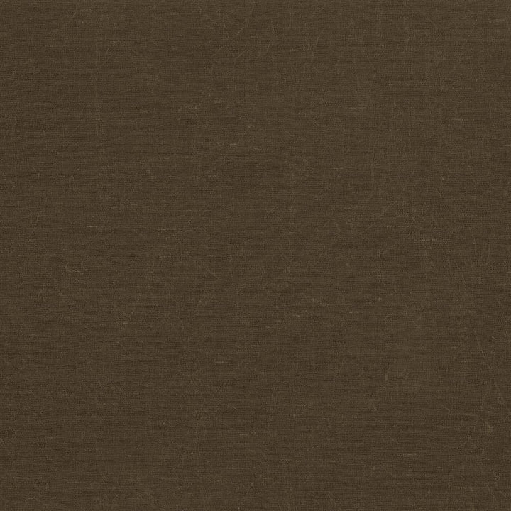 Wrinkle In Time Coffee by Kasmir Fabric 5047 INDIA 25,000 Wyzenbeek Double Rubs H: N/A, V:N/A 54 - Fabric Carolina - Kasmir