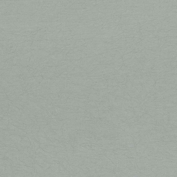 Wrinkle In Time Haze by Kasmir Fabric 5047 100% Polyester
 INDIA 25,000 Wyzenbeek Double Rubs Horizontal: N/A and Vertical: N/A 54 - Fabric Carolina -