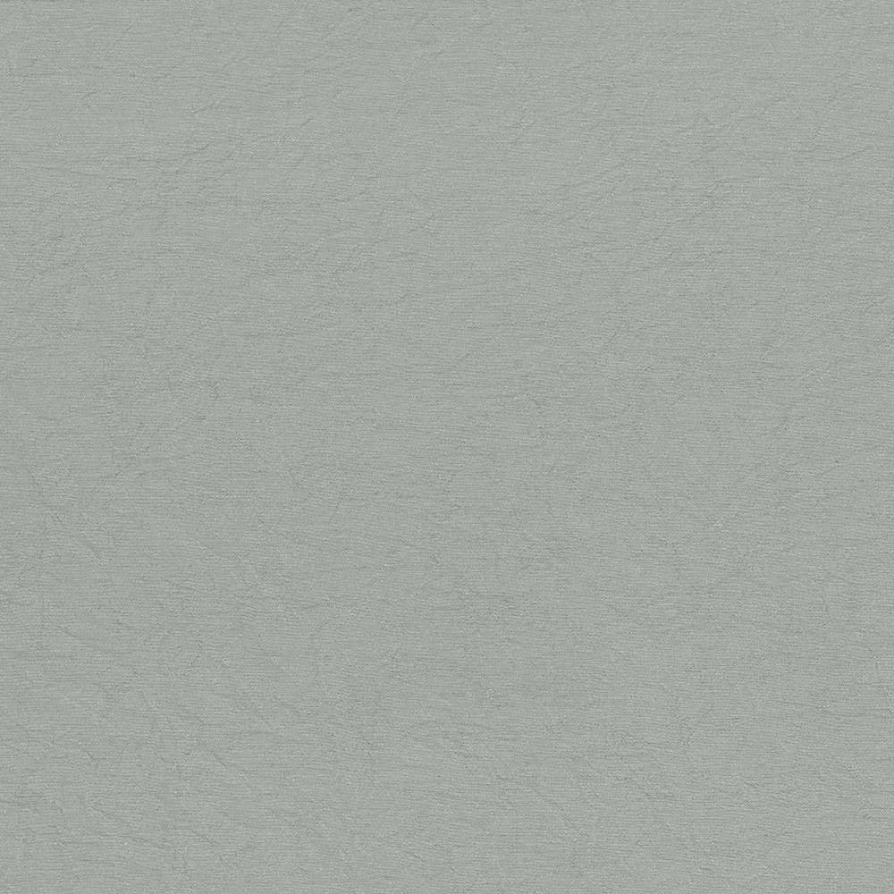 Wrinkle In Time Haze by Kasmir Fabric 5047 INDIA 25,000 Wyzenbeek Double Rubs H: N/A, V:N/A 54 - Fabric Carolina - Kasmir