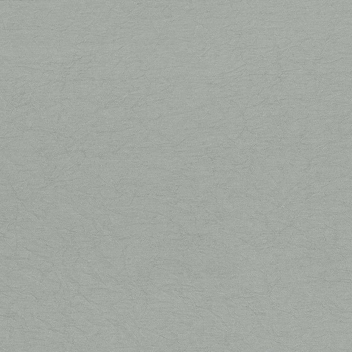 Wrinkle In Time Haze by Kasmir Fabric 5047 INDIA 25,000 Wyzenbeek Double Rubs H: N/A, V:N/A 54 - Fabric Carolina - Kasmir