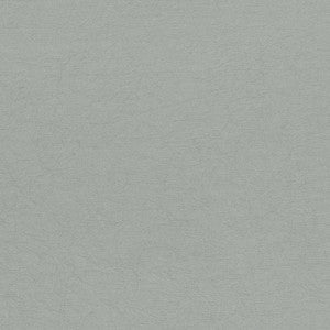 Wrinkle In Time Haze by Kasmir Fabric