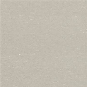 Wrinkle In Time Khaki by Kasmir Fabric 5047 100% Polyester INDIA 25,000 Wyzenbeek Double Rubs H: N/A, V: N/A 54 - Fabric Carolina - Kasmir