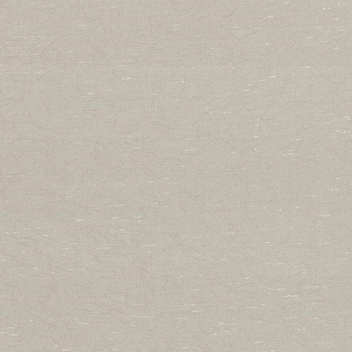 Wrinkle In Time Khaki by Kasmir Fabric 5047 100% Polyester
 INDIA 25,000 Wyzenbeek Double Rubs Horizontal: N/A and Vertical: N/A 54 - Fabric Carolina -