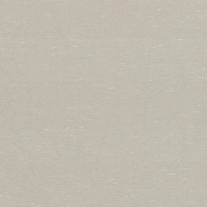 Wrinkle In Time Khaki by Kasmir Fabric 5047 INDIA 25,000 Wyzenbeek Double Rubs H: N/A, V:N/A 54 - Fabric Carolina - Kasmir