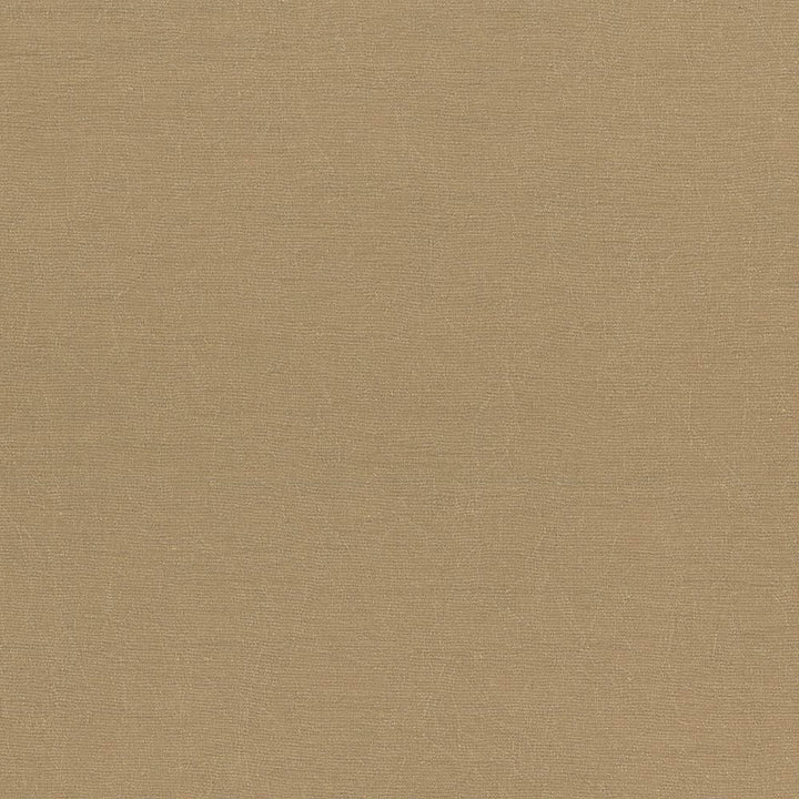 Wrinkle In Time Latte by Kasmir Fabric 5047 100% Polyester INDIA 25,000 Wyzenbeek Double Rubs Horizontal: 0 Inches and Vertical: 0 Inches 54 - Fabric Carolina -