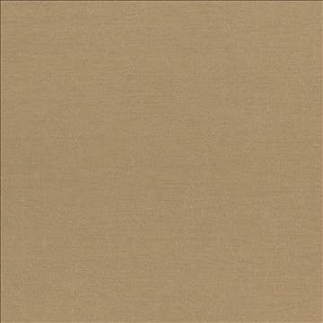 Wrinkle In Time Latte by Kasmir Fabric 5047 100% Polyester INDIA 25,000 Wyzenbeek Double Rubs H: N/A, V: N/A 54 - Fabric Carolina - Kasmir