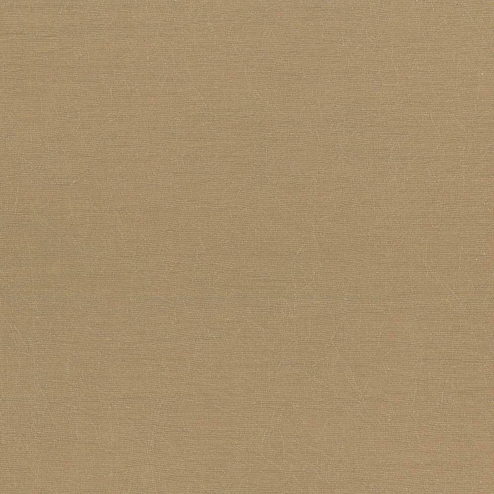 Wrinkle In Time Latte by Kasmir Fabric 5047 INDIA 25,000 Wyzenbeek Double Rubs H: N/A, V:N/A 54 - Fabric Carolina - Kasmir