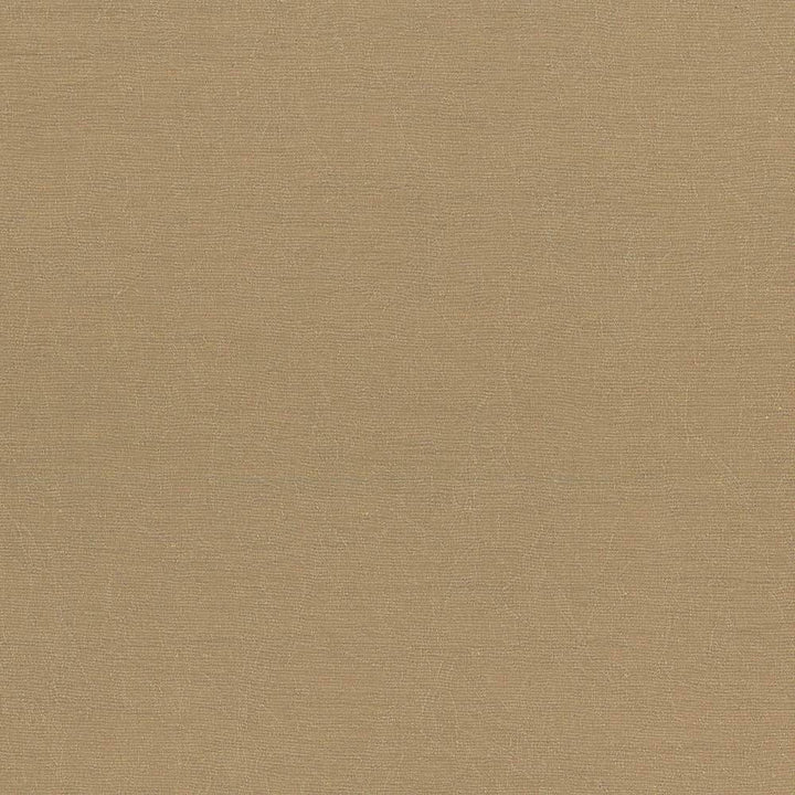 Wrinkle In Time Latte by Kasmir Fabric 5047 INDIA 25,000 Wyzenbeek Double Rubs H: N/A, V:N/A 54 - Fabric Carolina - Kasmir