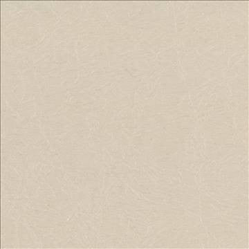 Wrinkle In Time Linen by Kasmir Fabric 5047 100% Polyester INDIA 25,000 Wyzenbeek Double Rubs H: N/A, V: N/A 54 - Fabric Carolina - Kasmir