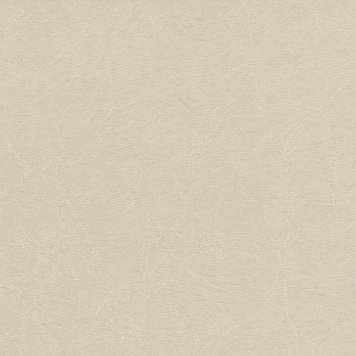 Wrinkle In Time Linen by Kasmir Fabric 5047 100% Polyester
 INDIA 25,000 Wyzenbeek Double Rubs Horizontal: N/A and Vertical: N/A 54 - Fabric Carolina -