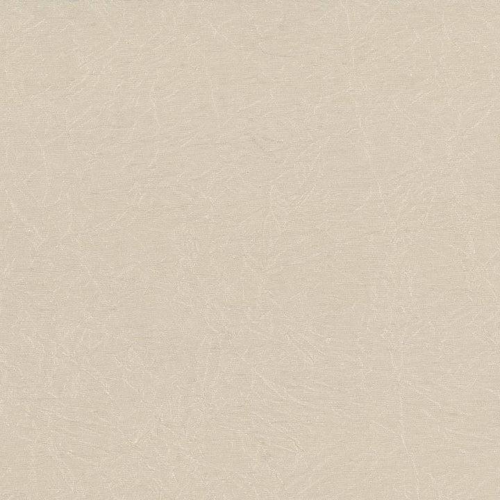 Wrinkle In Time Linen by Kasmir Fabric 5047 INDIA 25,000 Wyzenbeek Double Rubs H: N/A, V:N/A 54 - Fabric Carolina - Kasmir