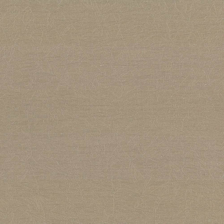 Wrinkle In Time Malt by Kasmir Fabric 5047 INDIA 25,000 Wyzenbeek Double Rubs H: N/A, V:N/A 54 - Fabric Carolina - Kasmir