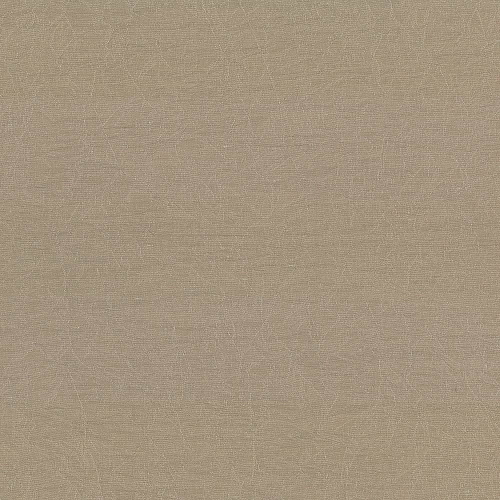 Wrinkle In Time Malt by Kasmir Fabric 5047 100% Polyester
 INDIA 25,000 Wyzenbeek Double Rubs Horizontal: N/A and Vertical: N/A 54 - Fabric Carolina -