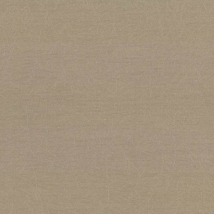 Wrinkle In Time Malt by Kasmir Fabric 5047 100% Polyester
 INDIA 25,000 Wyzenbeek Double Rubs </p><p>Repeat: Horizontal: N/A and Vertical: N/A 54 - Fabric Carolina -