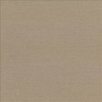 Wrinkle In Time Malt by Kasmir Fabric 5047 100% Polyester INDIA 25,000 Wyzenbeek Double Rubs H: N/A, V: N/A 54 - Fabric Carolina - Kasmir