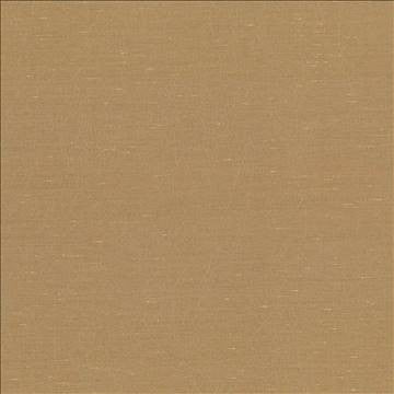 Wrinkle In Time Mustard by Kasmir Fabric 5047 100% Polyester INDIA 25,000 Wyzenbeek Double Rubs H: N/A, V: N/A 54 - Fabric Carolina - Kasmir