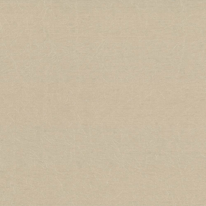 Wrinkle In Time Pebble by Kasmir Fabric 5047 INDIA 25,000 Wyzenbeek Double Rubs H: N/A, V:N/A 54 - Fabric Carolina - Kasmir