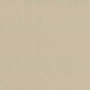 Wrinkle In Time Pebble by Kasmir Fabric