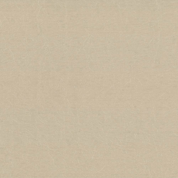 Wrinkle In Time Pebble by Kasmir Fabric 5047 100% Polyester
 INDIA </p><p>Repeat: Horizontal: N/A and Vertical: N/A 54 - Fabric Carolina -