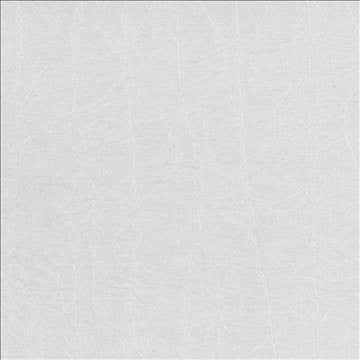 Wrinkle In Time Platinum by Kasmir Fabric 5047 100% Polyester INDIA 25,000 Wyzenbeek Double Rubs H: N/A, V: N/A 54 - Fabric Carolina - Kasmir