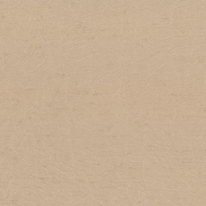 Wrinkle In Time Sand by Kasmir Fabric 5047 100% Polyester
 INDIA 25,000 Wyzenbeek Double Rubs </p><p>Repeat: Horizontal: N/A and Vertical: N/A 54 - Fabric Carolina -