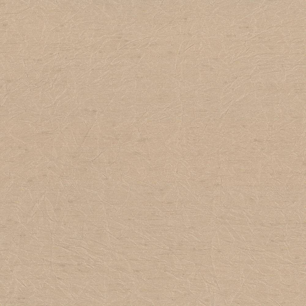 Wrinkle In Time Sand by Kasmir Fabric 5047 INDIA 25,000 Wyzenbeek Double Rubs H: N/A, V:N/A 54 - Fabric Carolina - Kasmir