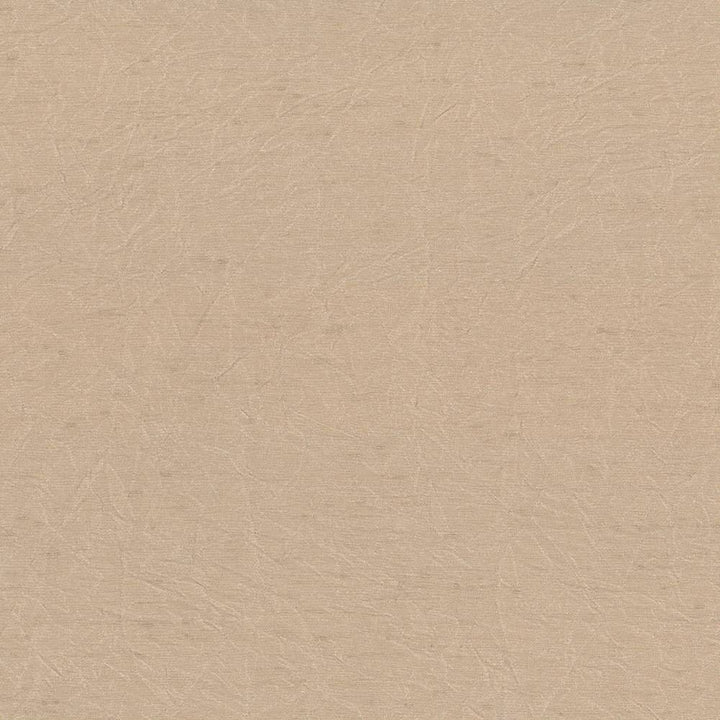 Wrinkle In Time Sand by Kasmir Fabric 5047 INDIA 25,000 Wyzenbeek Double Rubs H: N/A, V:N/A 54 - Fabric Carolina - Kasmir