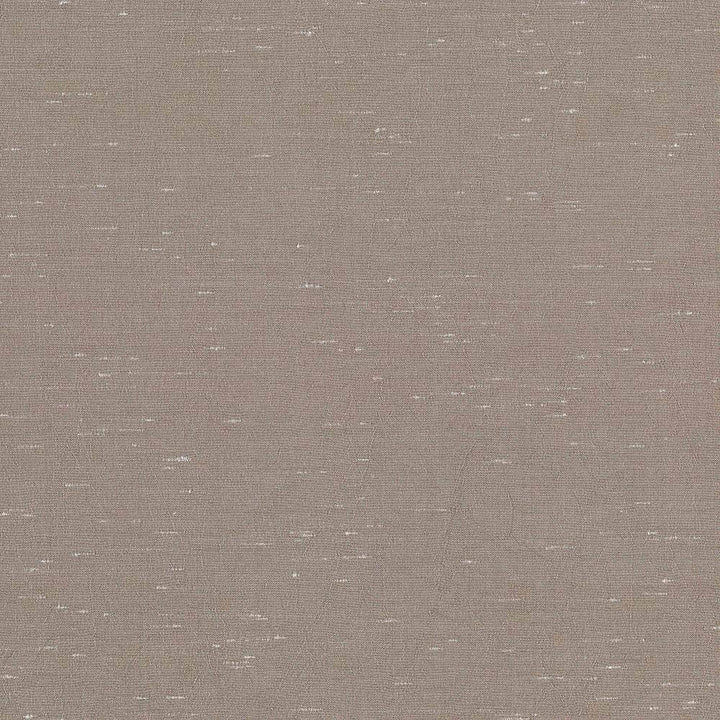 Wrinkle In Time Taupe by Kasmir Fabric 5047 INDIA 25,000 Wyzenbeek Double Rubs H: N/A, V:N/A 54 - Fabric Carolina - Kasmir