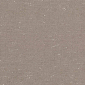 Wrinkle In Time Taupe by Kasmir Fabric