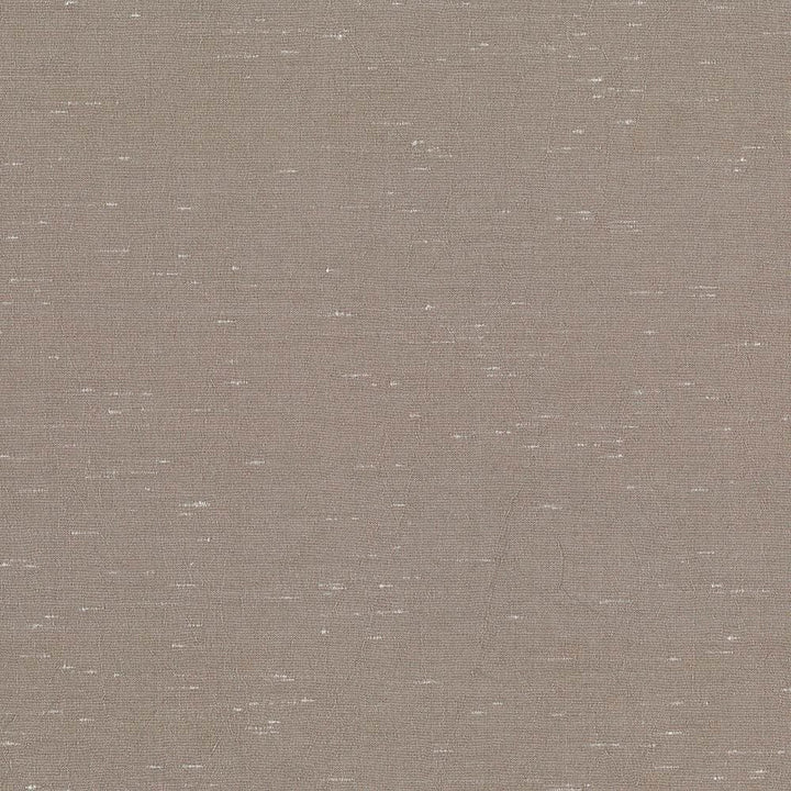 Wrinkle In Time Taupe by Kasmir Fabric 5047 100% Polyester
 INDIA 25,000 Wyzenbeek Double Rubs Horizontal: N/A and Vertical: N/A 54 - Fabric Carolina -