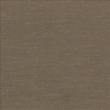 Wrinkle In Time Teak by Kasmir Fabric 5047 100% Polyester INDIA 25,000 Wyzenbeek Double Rubs H: N/A, V: N/A 54 - Fabric Carolina - Kasmir