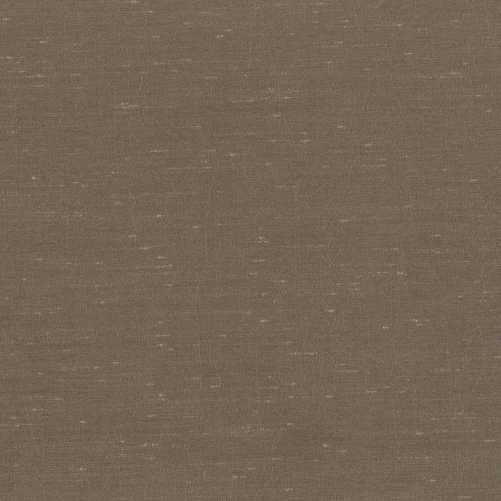 Wrinkle In Time Teak by Kasmir Fabric 5047 INDIA 25,000 Wyzenbeek Double Rubs H: N/A, V:N/A 54 - Fabric Carolina - Kasmir