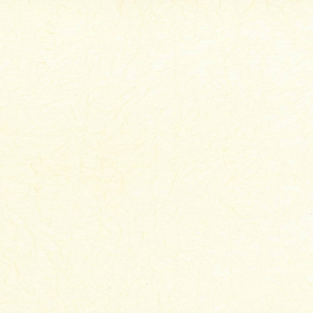 Wrinkle In Time Vanilla by Kasmir Fabric 5047 INDIA 25,000 Wyzenbeek Double Rubs H: N/A, V:N/A 54 - Fabric Carolina - Kasmir