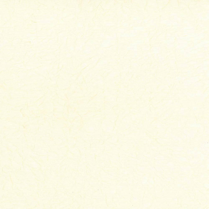 Wrinkle In Time Vanilla by Kasmir Fabric 5047 INDIA 25,000 Wyzenbeek Double Rubs H: N/A, V:N/A 54 - Fabric Carolina - Kasmir