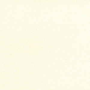 Wrinkle In Time Vanilla by Kasmir Fabric