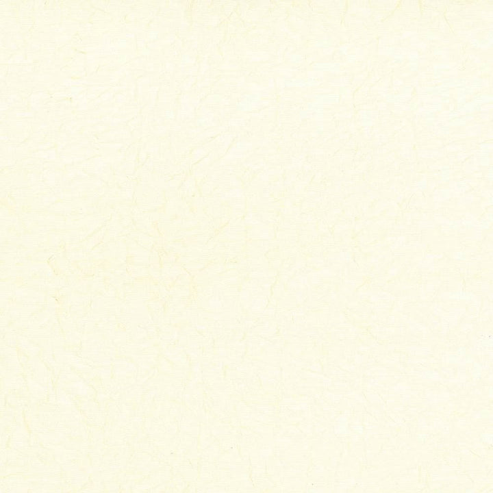 Wrinkle In Time Vanilla by Kasmir Fabric 5047 100% Polyester
 INDIA 25,000 Wyzenbeek Double Rubs </p><p>Repeat: Horizontal: N/A and Vertical: N/A 54 - Fabric Carolina -