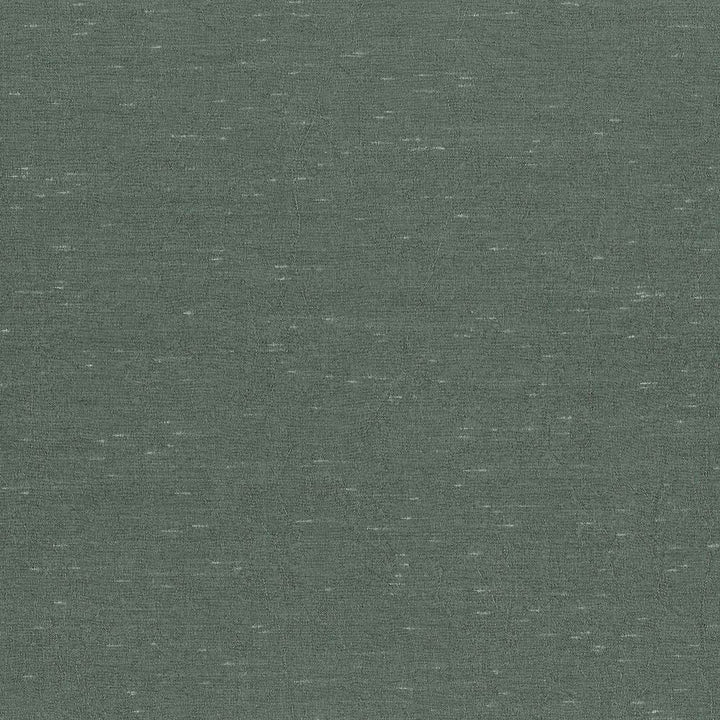 Wrinkle In Time Aspen by Kasmir Fabric 5047 100% Polyester
 INDIA </p><p>Repeat: Horizontal: N/A and Vertical: N/A 54 - Fabric Carolina -