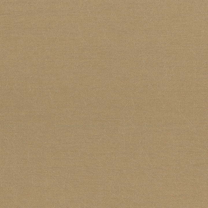 Wrinkle In Time Latte by Kasmir Fabric 5047 100% Polyester
 INDIA </p><p>Repeat: Horizontal: N/A and Vertical: N/A 54 - Fabric Carolina -