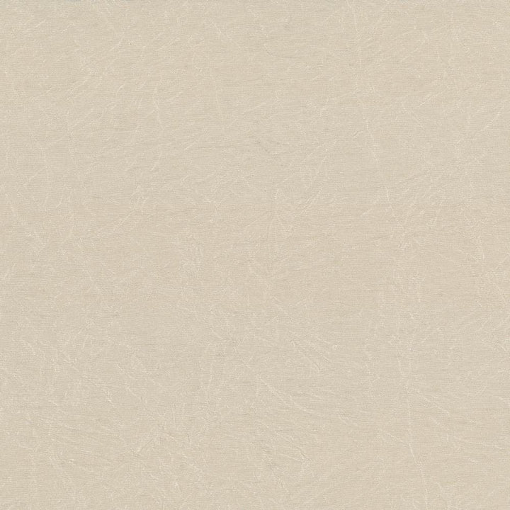 Wrinkle In Time Linen by Kasmir Fabric 5047 100% Polyester
 INDIA </p><p>Repeat: Horizontal: N/A and Vertical: N/A 54 - Fabric Carolina -
