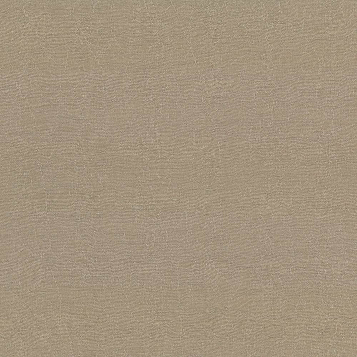 Wrinkle In Time Malt by Kasmir Fabric 5047 100% Polyester
 INDIA </p><p>Repeat: Horizontal: N/A and Vertical: N/A 54 - Fabric Carolina -