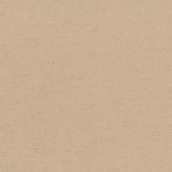 Wrinkle In Time Sand by Kasmir Fabric 5047 100% Polyester
 INDIA </p><p>Repeat: Horizontal: N/A and Vertical: N/A 54 - Fabric Carolina -